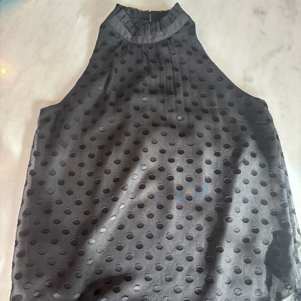 Ann Taylor Sheer Swiss Dot Ruffled Halter-Neck Top